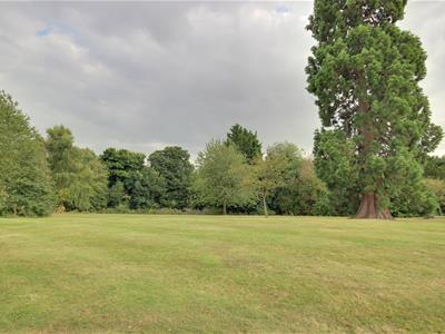Picture 25
